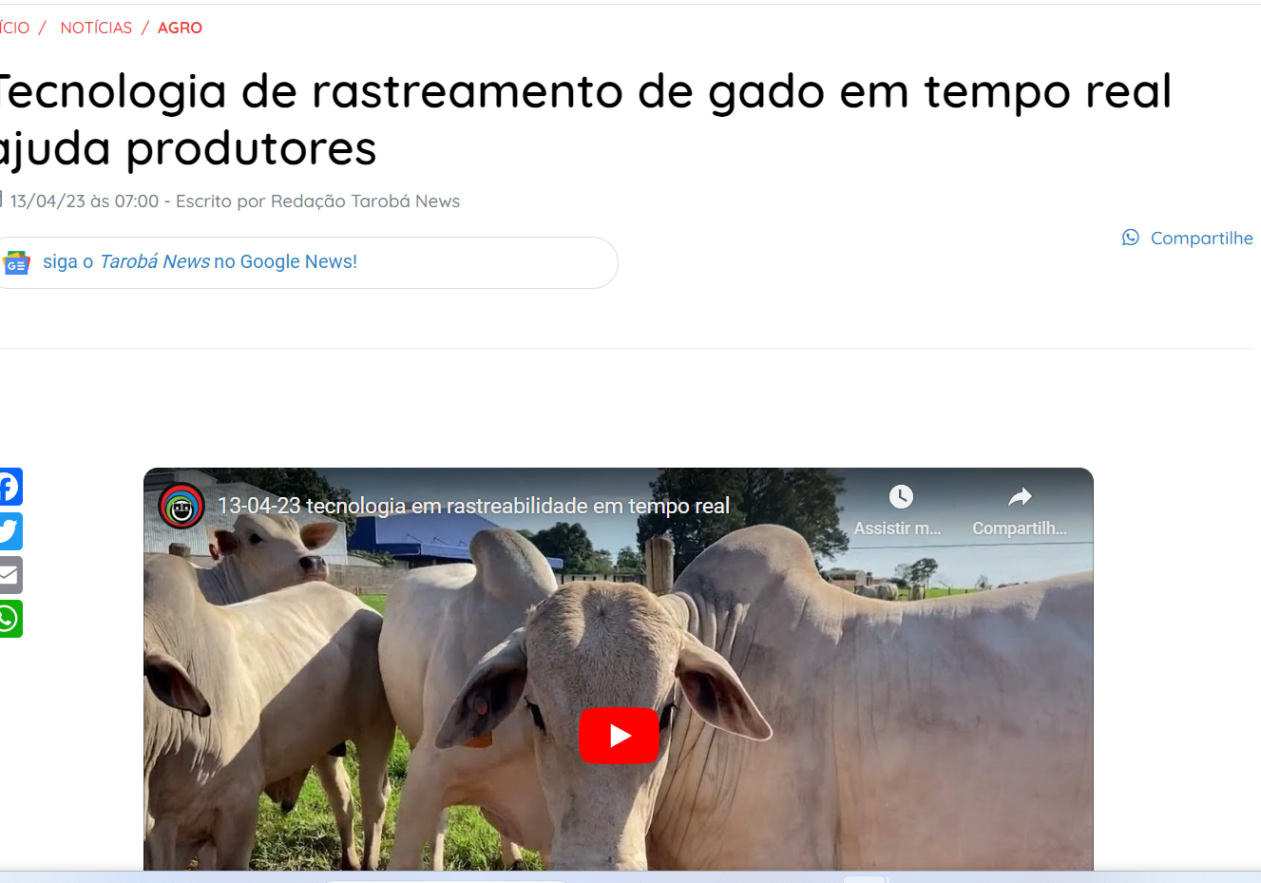 Captura de tela 2023-11-08 094916